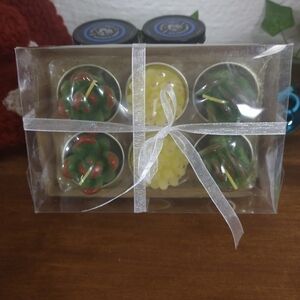 6 Figural Succulent Candles - Still in Box